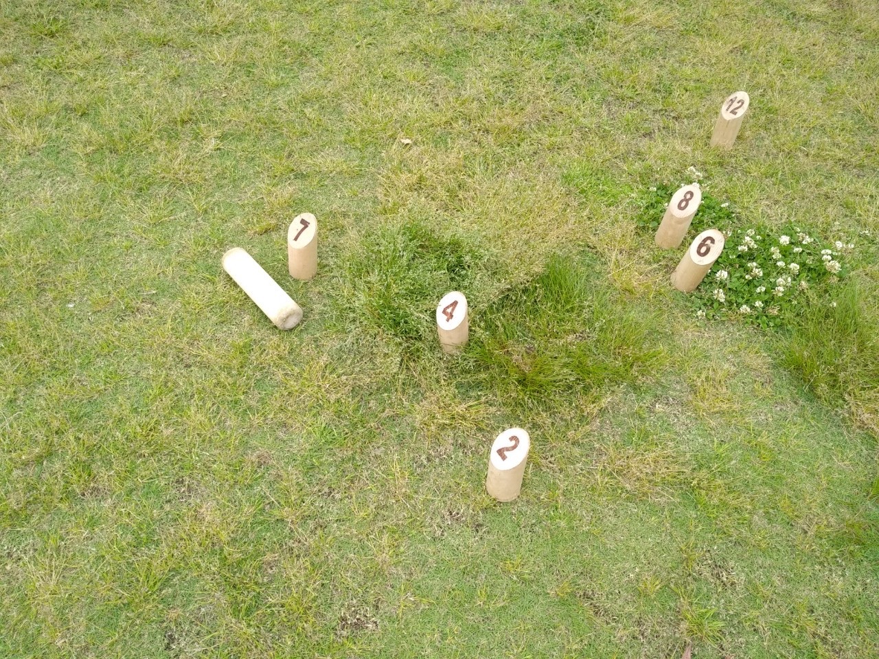 名古屋モルッカーズ